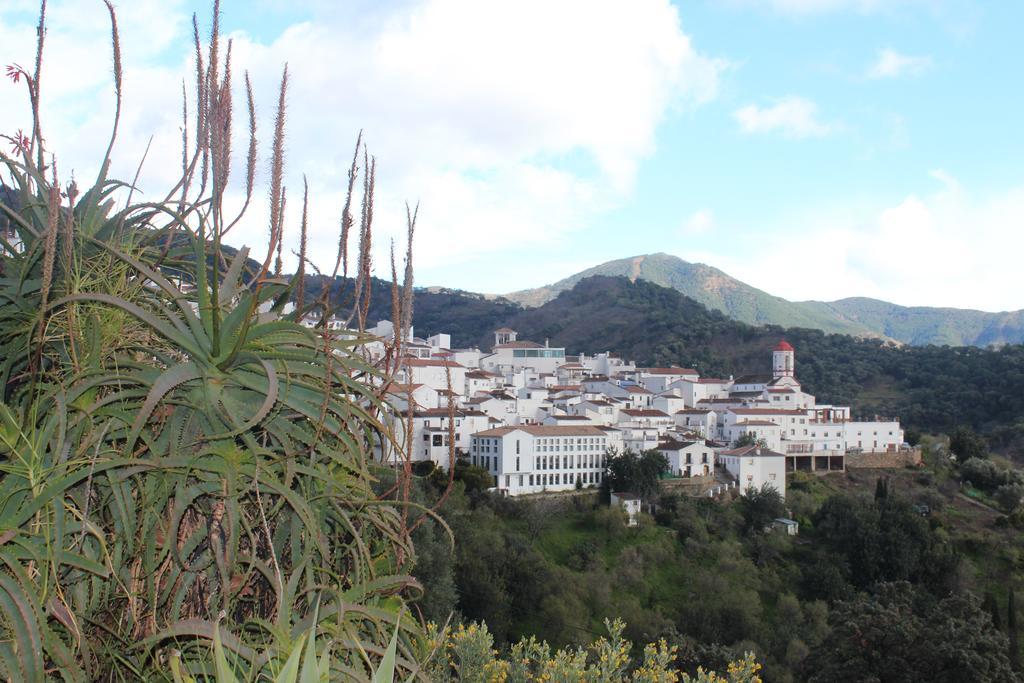 Jardines Del Visir * Genalguacil
