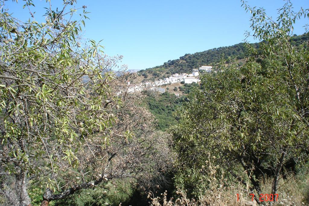 Jardines Del Visir Country house Genalguacil