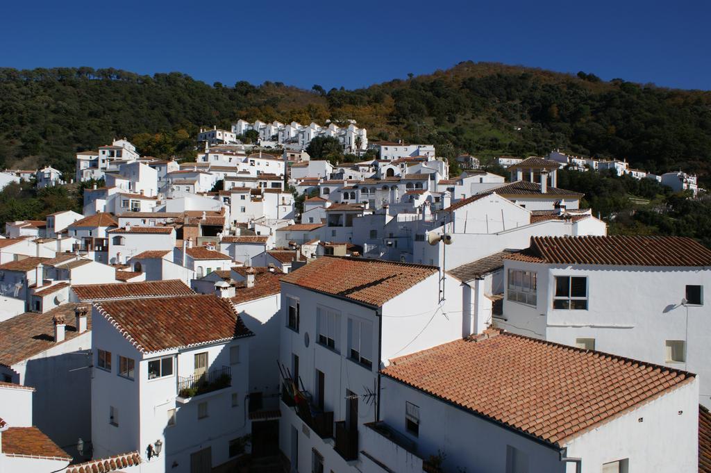Jardines Del Visir *