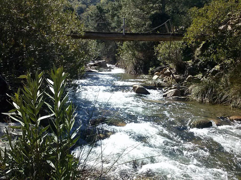 Casa di campagna Jardines Del Visir Genalguacil
